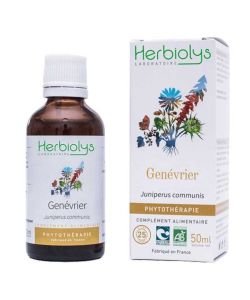 Genévrier - Extrait de plante fraiche 50mL BIO, 50 ml